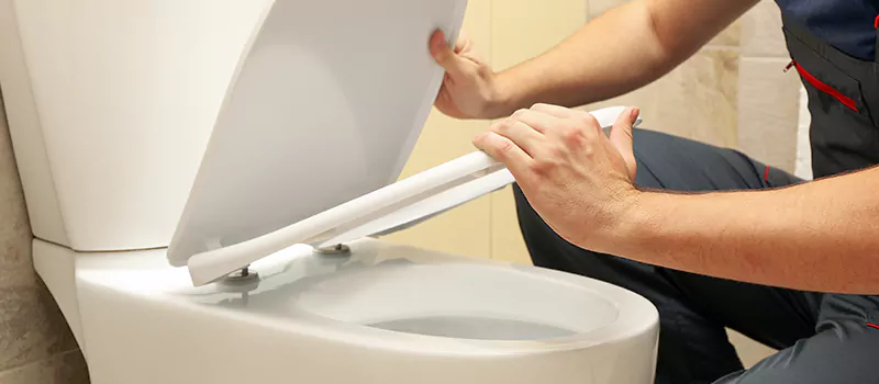 Damaged Toilet Parts Replacement Services in New Tecumseth, ON