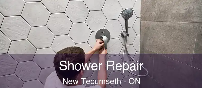 Shower Repair New Tecumseth - ON