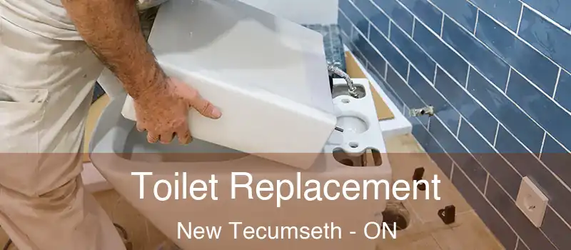 Toilet Replacement New Tecumseth - ON